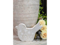 Whitewashed Bird