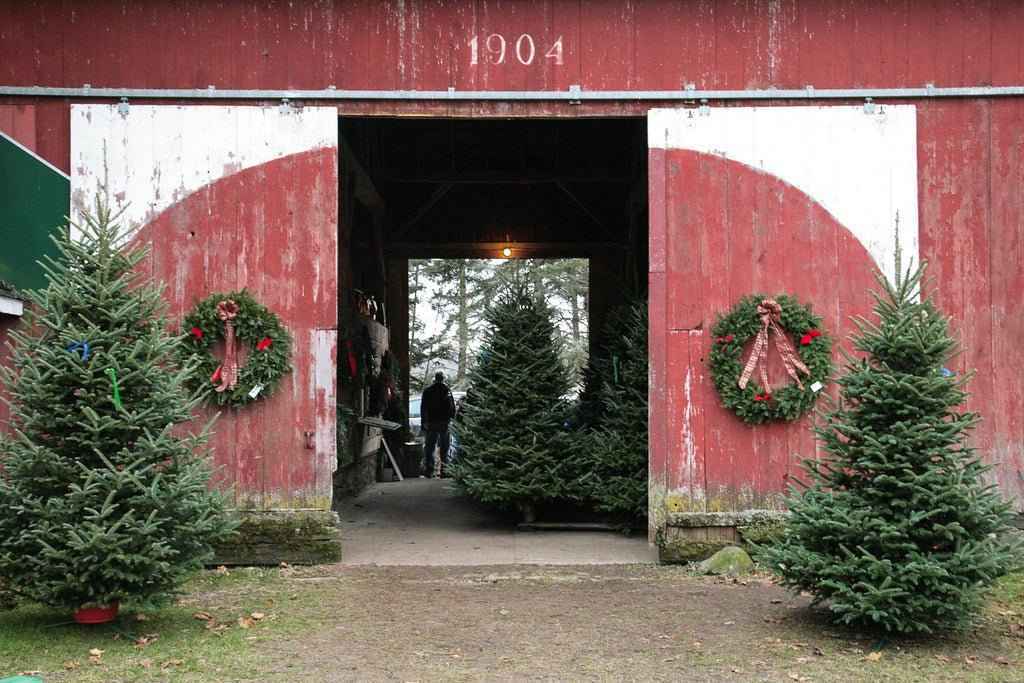 Farmhouse Christmas - Premium Fragrance Oil