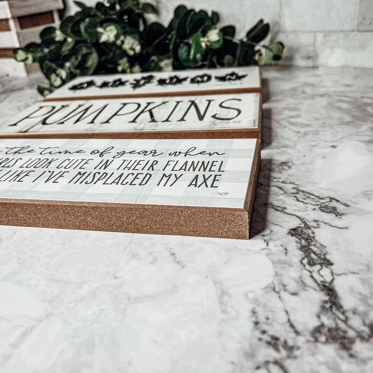 Autumn Wooden Sign 10x4x1 Rustic Off-White Farmhouse Cottage Neutral Decor