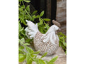 Small Rooster